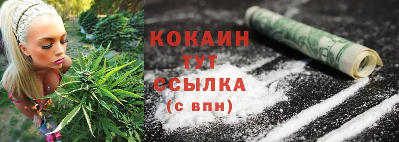 купить наркоту  Пыталово  Cocaine 99% 